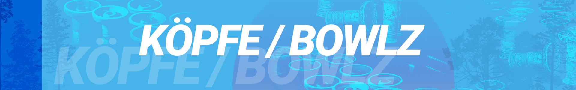 BOWLZ BANNER