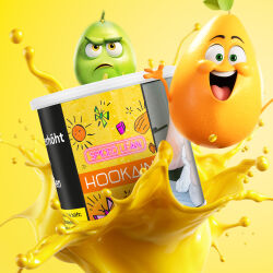 HOOKAIN - Spiced Lean - 200 g