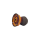 Magic Mushroom - Phunnel - Zauron
