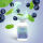 Fog Your Life - Aroma Shot - Blaubeere Waldminze - 25 ml