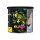 BLAZE - Dark Leaf - Black Lemenciaga - 200 g